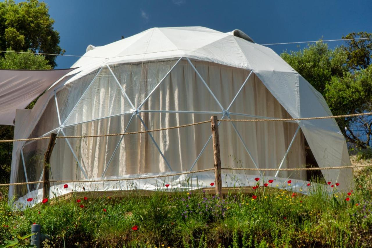 Luxury Dome Tents Ikaria Ap'esso Luxury tent *