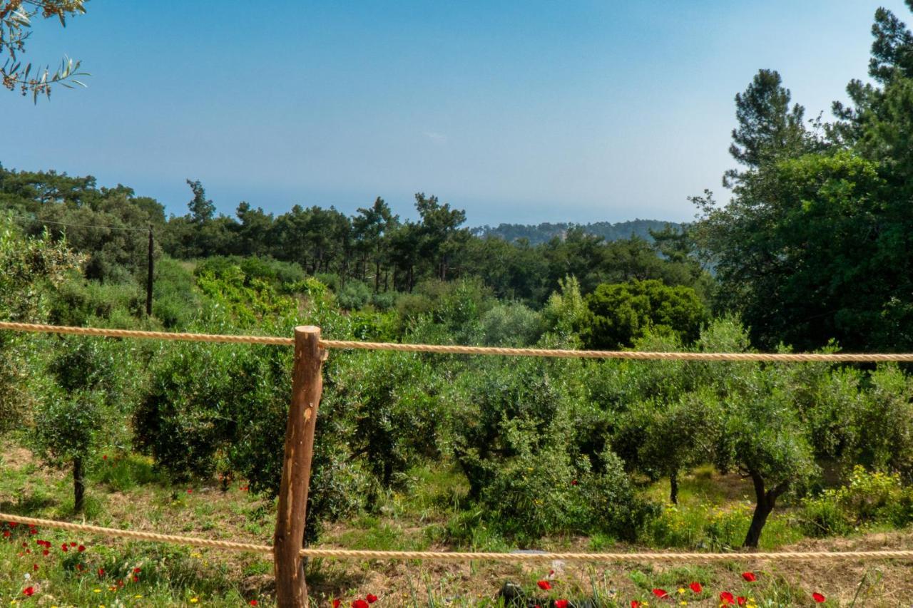 Luxury Dome Tents Ikaria Ap'esso Raches (Ikaria)